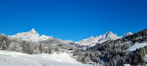 Filzmoos Casa | Mittersteghof,