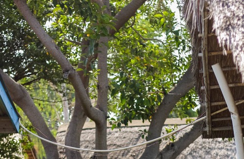 Senga Cabina | Mkunkhula Baobab Lodge
