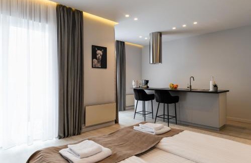 Uzhhorod Apartamento | ММ GROUP APARTMENT