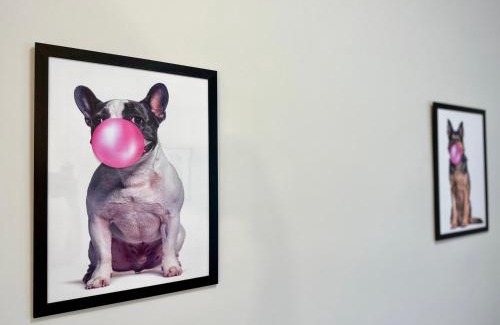 Siedlce Casa | MMRent Bubble Gum Room