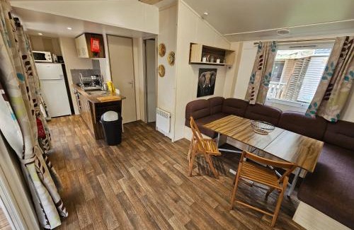 La Boissiere-de-Montaigu Otro | Mobil-home 6 personne - Tohapi Cœur de Vendée