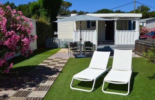 Puget-sur-Argens Apartamento | Mobil Home 4 personnes