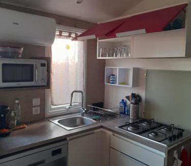 Genouille Otro | Mobil home 5 personnes lagon