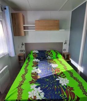 Saint-Julien-en-Born Otro | Mobil-home Loic camping les Dunes de Contis