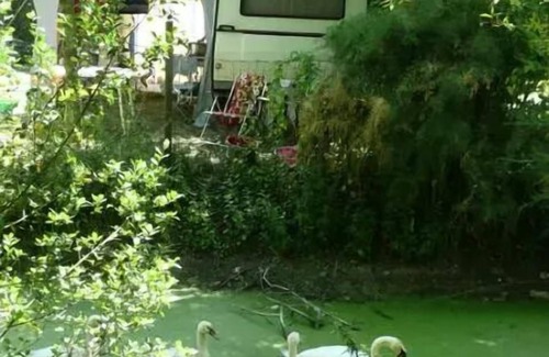 Chaille-les-Marais Casa | Mobile home BAHIA - 2 bedrooms 31 m² 4 people