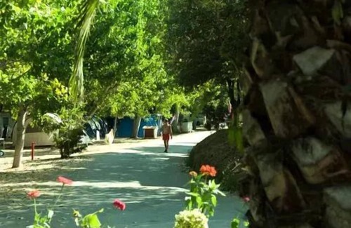 Calcatoggio Casa | Camping La Liscia *** - Mobilhome para 4 personas