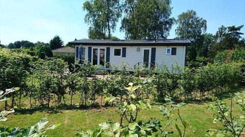 Baarle-Nassau Apartamento | Mobilheim für 4 Personen ca 35 qm in Baarle-Nassau, Nordbrabant - b58367