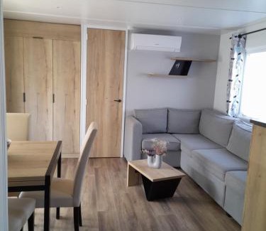 Gastes Otro | Mobilhome 422 3ch/1 sdb camping 4* La Réserve SIBLU Gastes