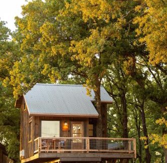 Elm Mott Otro | Mockingbird Treehouse 15 MIN to MagnoliaBaylor