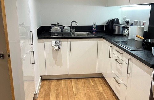 Royal Docks Apartamento | Modern 1 bedroom by Thames w balcony-1 min to DLR, easy access to central London