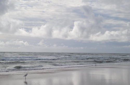 Kingston Cabaña | MODERN 1926 COTTAGE DOWNTOWN DAYTONA BEACH - PET FRIENDLY