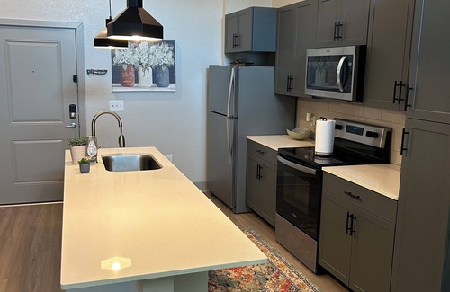 East Ybor Apartamento | Modern 1BR Apt in Ybor 5min to DT Pet Friendly