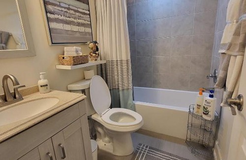Potomac Casa | Modern 1BR Basement Suite