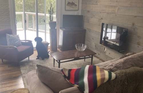 South Bruce Peninsula Cabaña | Modern 4-bd Cottage on River w/ Outdoor Living!