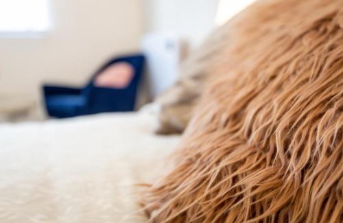 Southwark Apartamento | Modern apartment close to central London (zone 2)