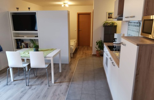Winden im Elztal Apartamento | Apartamento moderno en el segundo valle - Oberwinden - Elztal