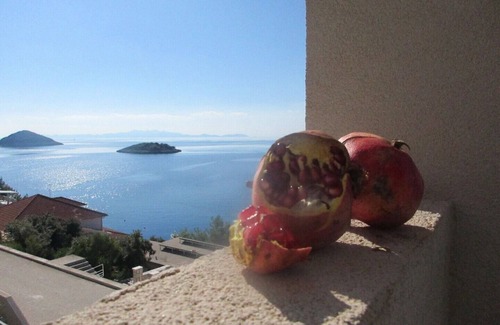 Blato Apartamento | Modern apartment on island of Korcula with the 180 degree breathtaking sea view