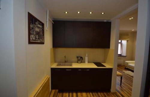 Grizinkalns Apartamento | Modern apartment with free parking