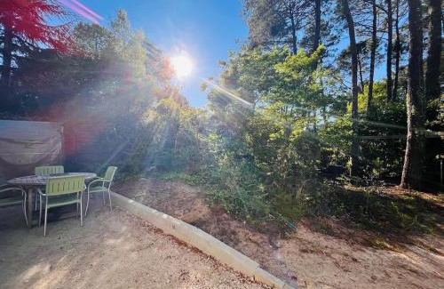 Seignosse Apartamento | modern appartement with private garden & shared pool