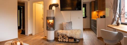 Zella-Mehlis Casa | Modern Birch Chalet At Ruppberg
