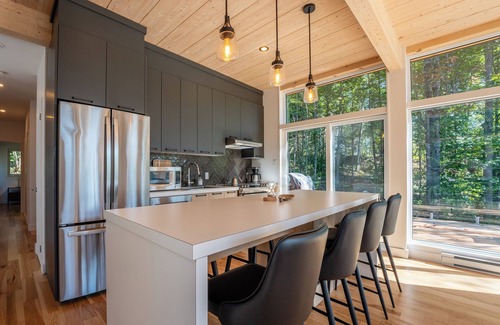 La Conception Cabina | Modern Cabin 10 Min to Tremblant | Forest Views