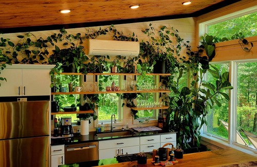 Hayward Cabina | Modern Cabin with Classic Northwoods Experience...Close to Trails