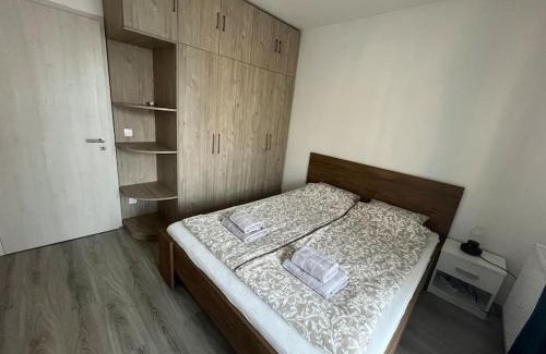 Ujlipotvaros Apartamento | Modern cabin with garage
