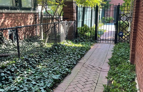Kenwood Casa | Modern Coach House 2BR/1BA/Den in Hyde Park/ Kenwood, walk to U of C & Lakefront