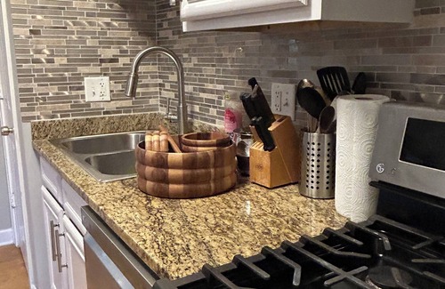 Woodlawn Condominio | Modern Condo-Obama & University of Chicago Area