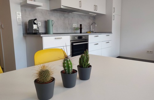 Bad Homburg v.d. Hoehe Apartamento | Modern 2-room apartment in central Taunus location