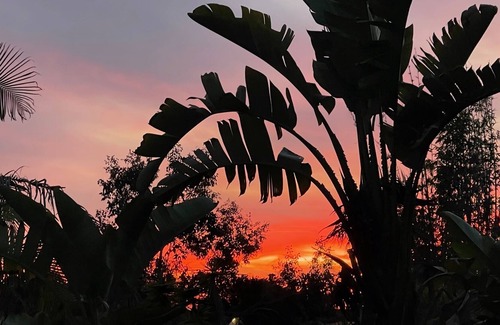 Leucadia Cabaña | Modern Farmhouse Cottage 5 minutes from the beach!