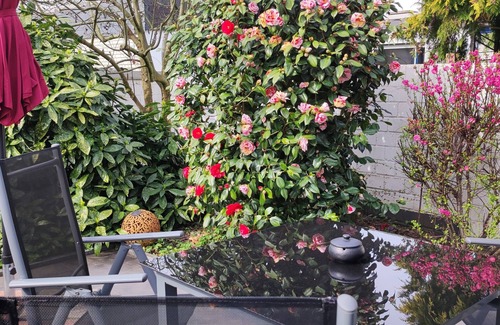 Erkrath Casa | Modern house 90sqm 2-room. S-W-Terr. Near Düsseldorf