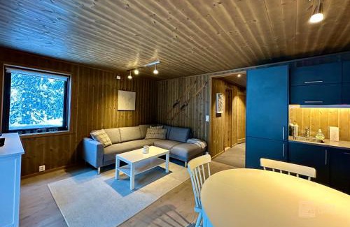 Ringsaker Apartamento | Modern ski-in out apartment at Sjusjøen