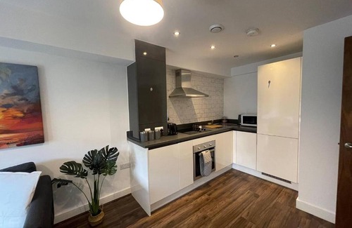 Bordesley Apartamento | Modern Spacious 1 Bed Flat In Birmingham City Centre With Free Parking, Fast Free WiFi And Netflix
