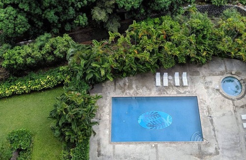 Makiki Apartamento | Modern Studio - Comforts at Camelot