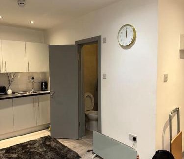 Pettits Apartamento | Modern studio flat in Romford