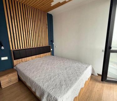 Bakuriani Apartamento | Modern Studio in Hotel Mgzavrebi Block 9 Mountain View
