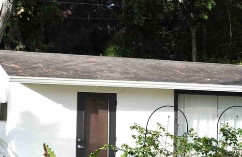 Whitfield Villa | Modern Studio Near SRQ Airport