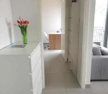 Old Town Apartamento | Modern Top-Floor Apartment with Terrace, Pool & Free Private Parking
