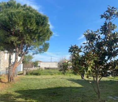 Lesvos Casa | Modern Villa in Lesvos