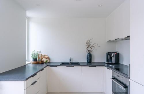 Tromso Villa | Modern Villas in Plush town