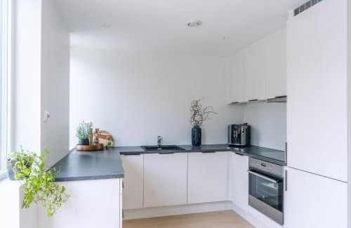 Tromso Villa | Modern Villas in Plush town
