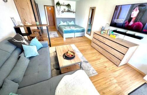 Mittelberg Apartamento | Moderne, 1-Zimmer Ferienwohnung mit Bergblick