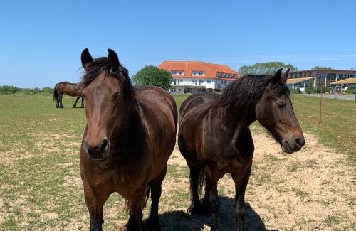 Neddesitz Apartamento | Moderne Apartments im Ferienpark auf Rügen