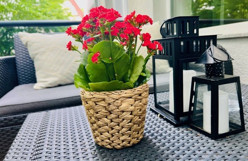 Luegde Apartamento | Moderne Ferienwohnung mit Regendusche, Eigenem Balkon und Grill in Lüdge