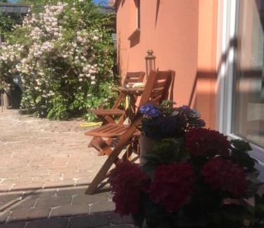 Gallin Apartamento | Moderne großzügige Souterrainwohnung Zarrentin Gallin Schaalsee Natur Wald Wasser