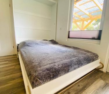 Rheinsberg Casa | Moderner Einraumbungalow auf eigenem Grundstück