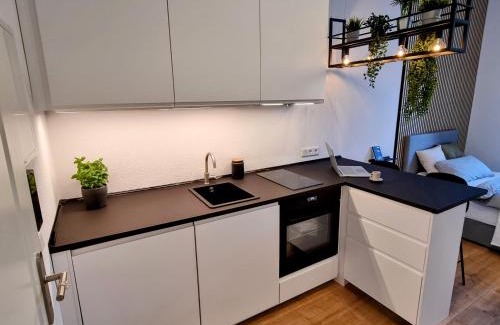 Karlsruhe City Centre Apartamento | Modernes Apartment im Zentrum von Karlsruhe