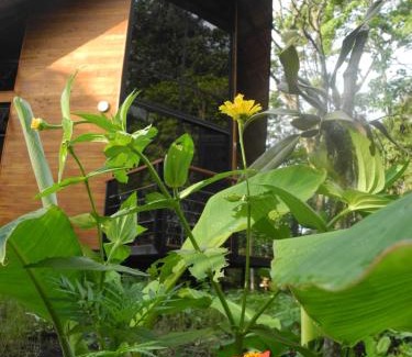 Viota Cabina | Mogambo Ecolodge