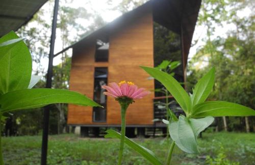 Viota Cabina | Mogambo Ecolodge